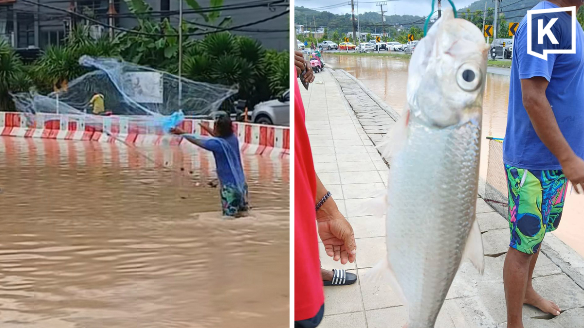 プーケット、道路冠水で「釣り堀」に 住民が魚を捕獲