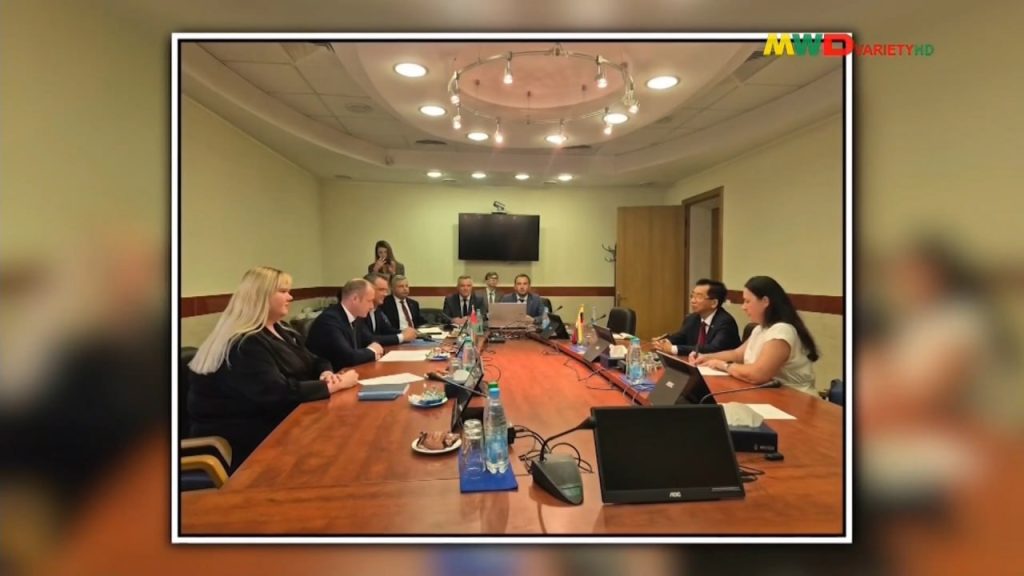 Myanmar and Belarus discuss energy security matters