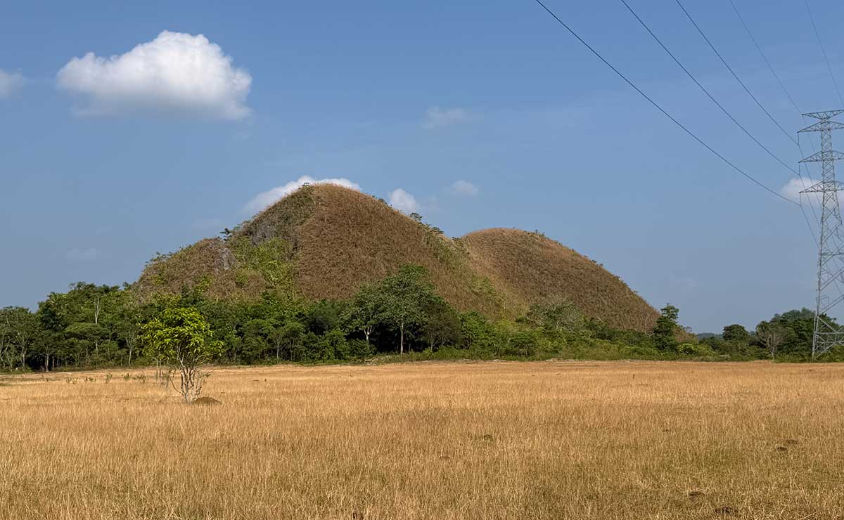 ボホール州、エルニーニョによる干ばつで農作物被害1億7300万ペソ超
