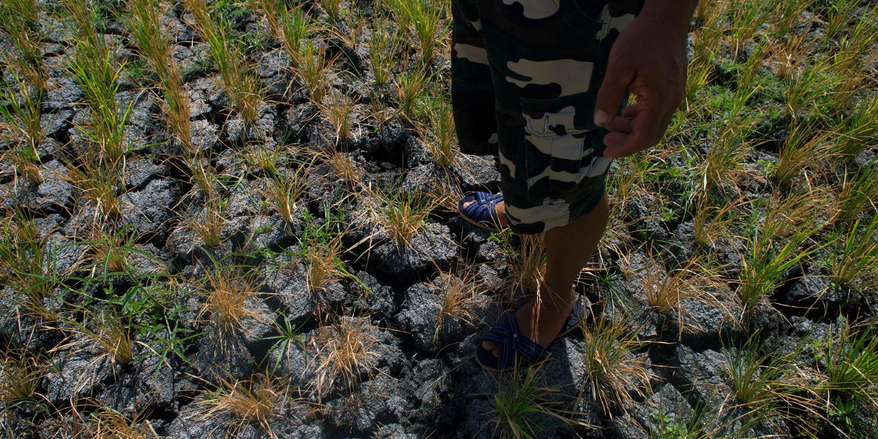 El Niño Threatens Parts of Luzon, Mindanao; DA Warns of Crop Losses