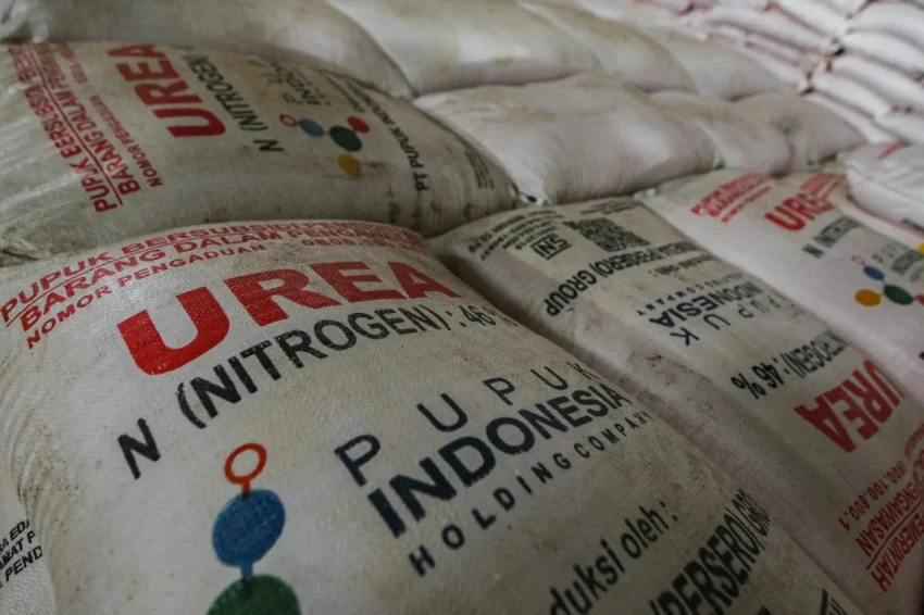 Prabowo's Two Years in Office: Fertilizer Prices Drop 20%, Farmers' Welfare Improves