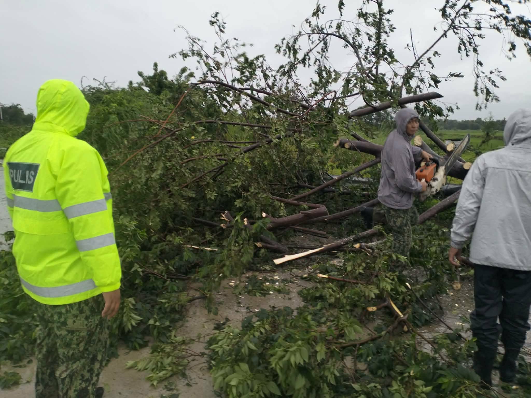 Tropical Storm Maymay Topples Trees in Vigan City, Prompting Road Clearing