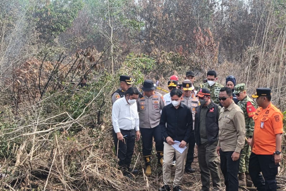 VP Gibran Inspects Kalimantan Fires, Orders Enhanced Mitigation Efforts