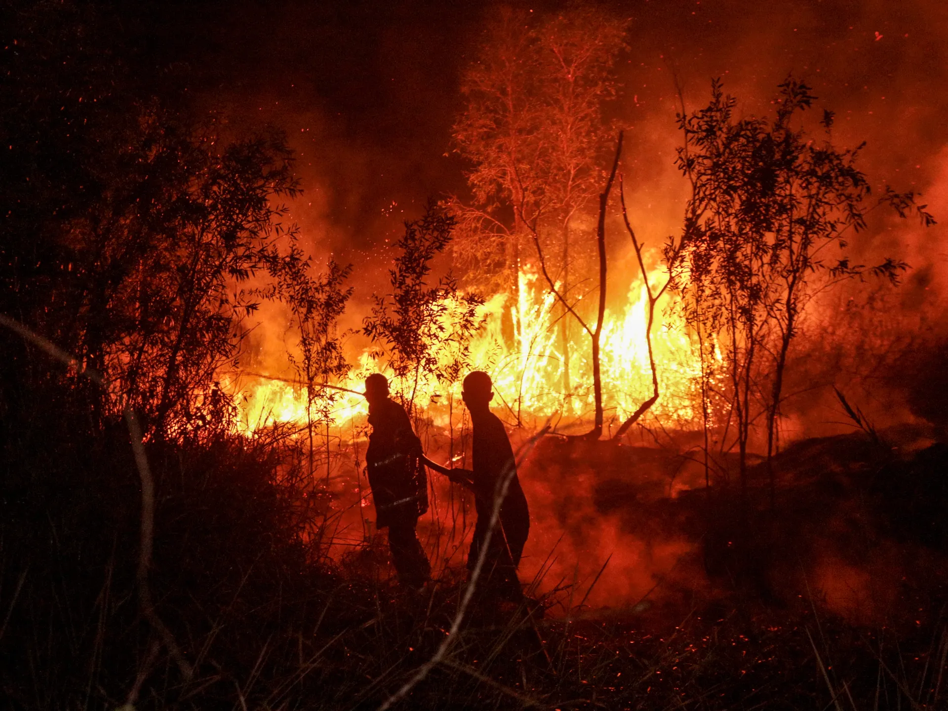 Four Killed as Indonesia Battles Worst Forest Fires in Over a Decade
