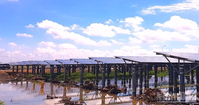 Tay Ninh Province Boosts Growth Through Power Infrastructure Enhancement