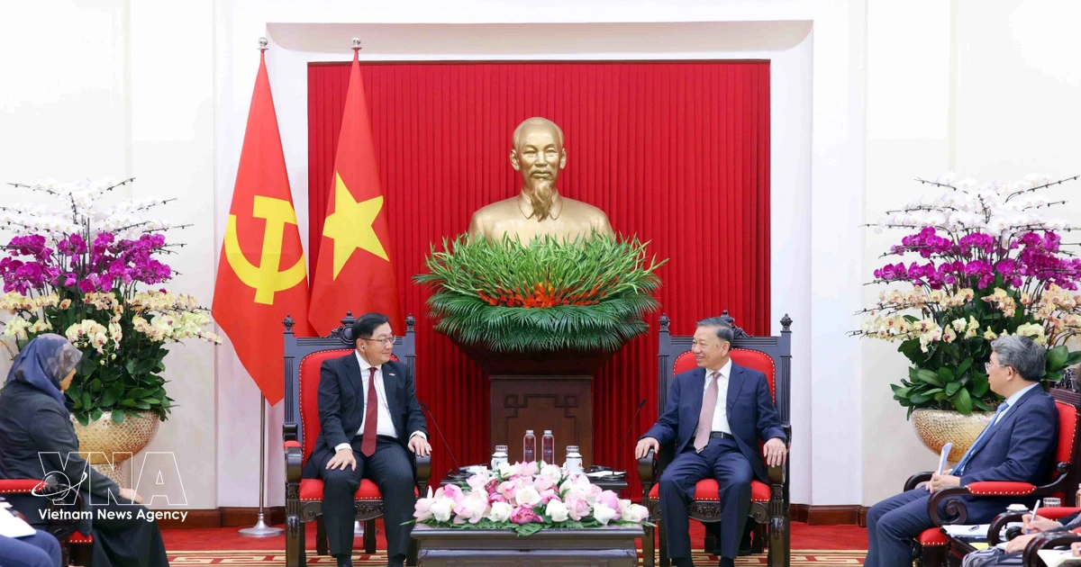 Vietnam Emphasizes Strengthening Party Diplomacy for Regional Cooperation and National Development