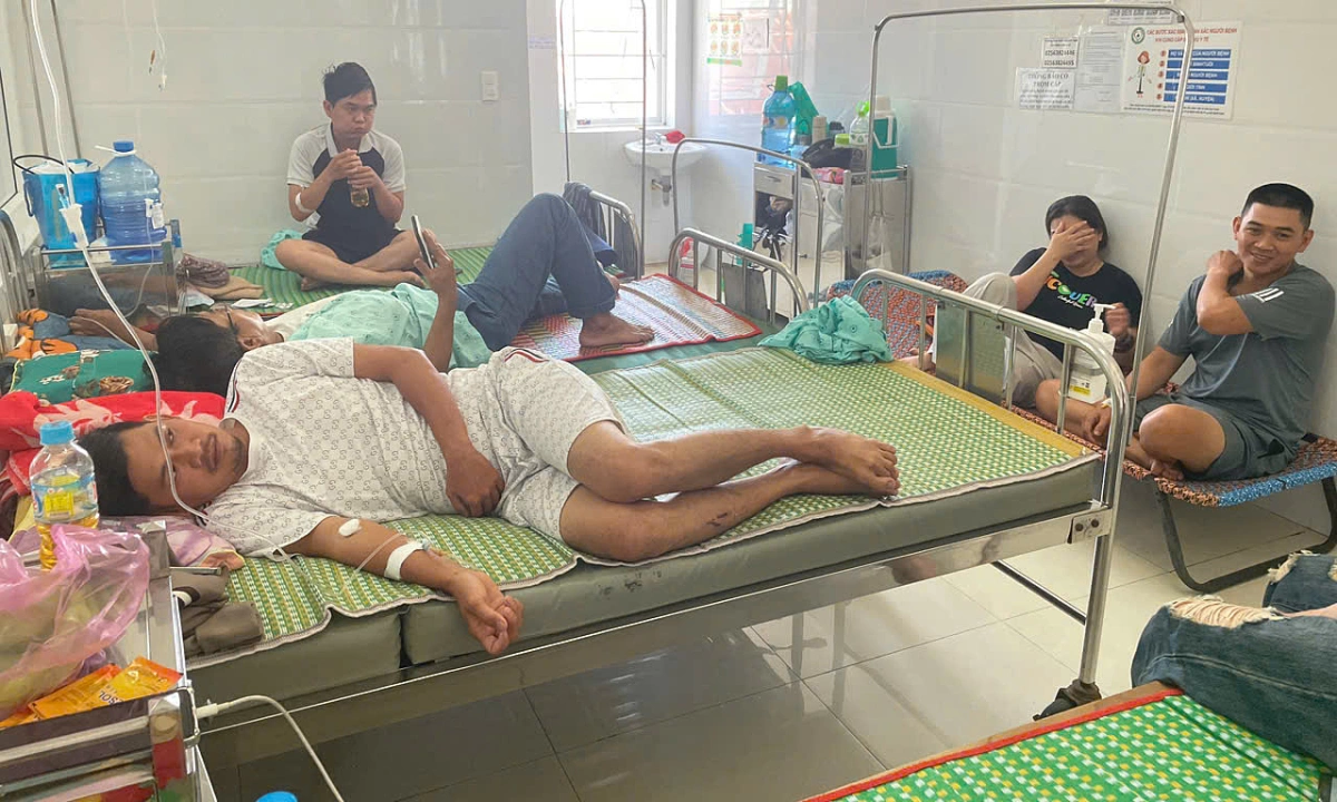 7 Bread Samples from Gia Lai Food Poisoning Case Test Positive for Salmonella
