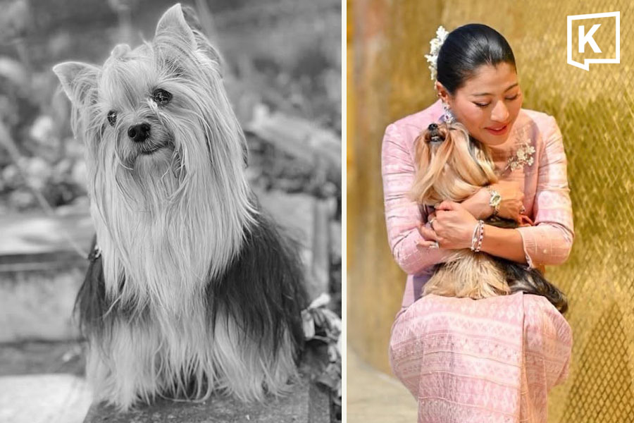 シリワナリー皇女、愛犬「パフューム」に別れ 15年の絆に哀悼