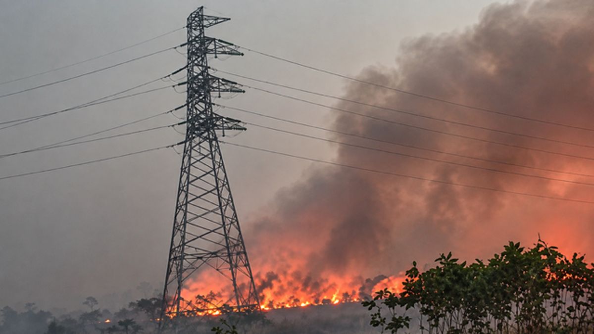 Kalimantan Forest Fires Hampered by Resource Shortages and Difficult Terrain