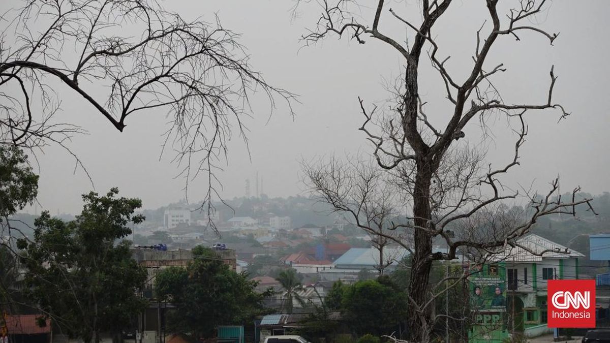 Indonesia Faces Rising Respiratory Illness Amidst Haze, Concerns Over Inadequate Mask Distribution