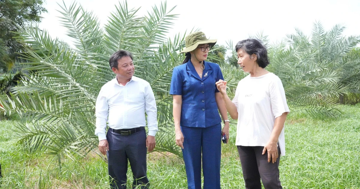 Ham Thuan Nam Commune in Lam Dong Province Strengthens Infrastructure and Facility Investment