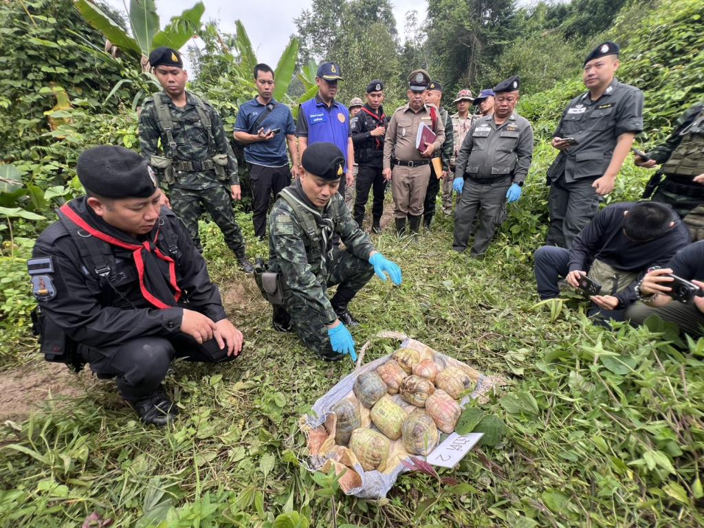 Thai Border Forces Clash with Drug Smugglers in Mae Ai, Large Drug Haul Seized