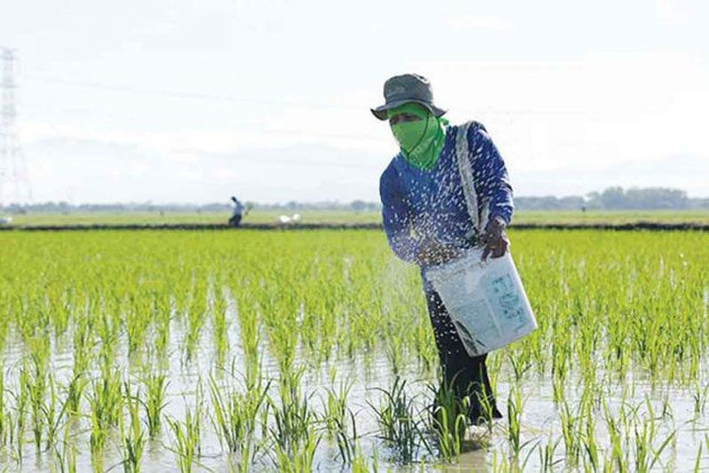 Fertilizer Orders Delayed by Weak Peso, Raising Import Costs and Busting Procurement Budgets