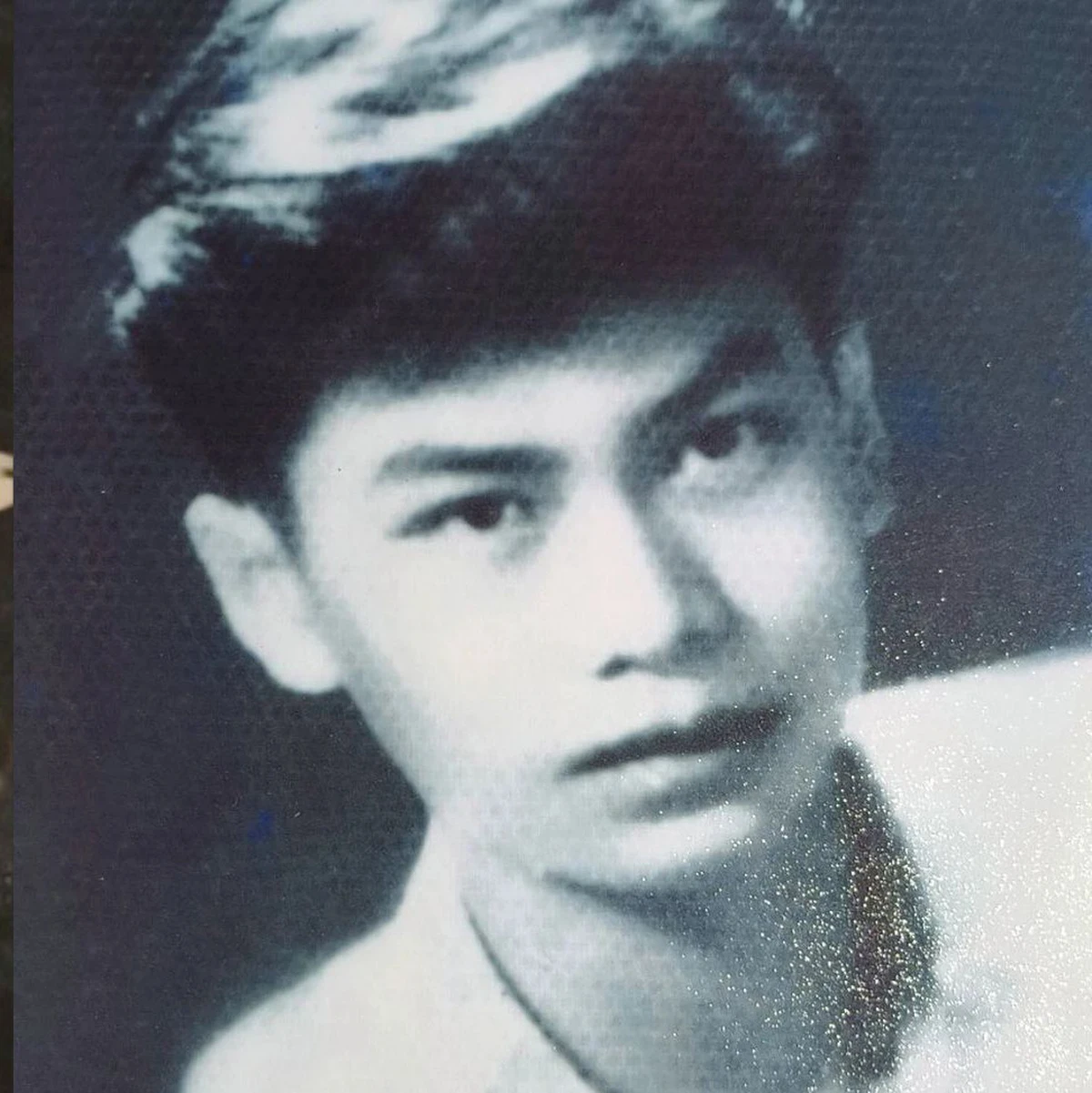 Vietnam: War Memories and Transgenerational Sense of Duty