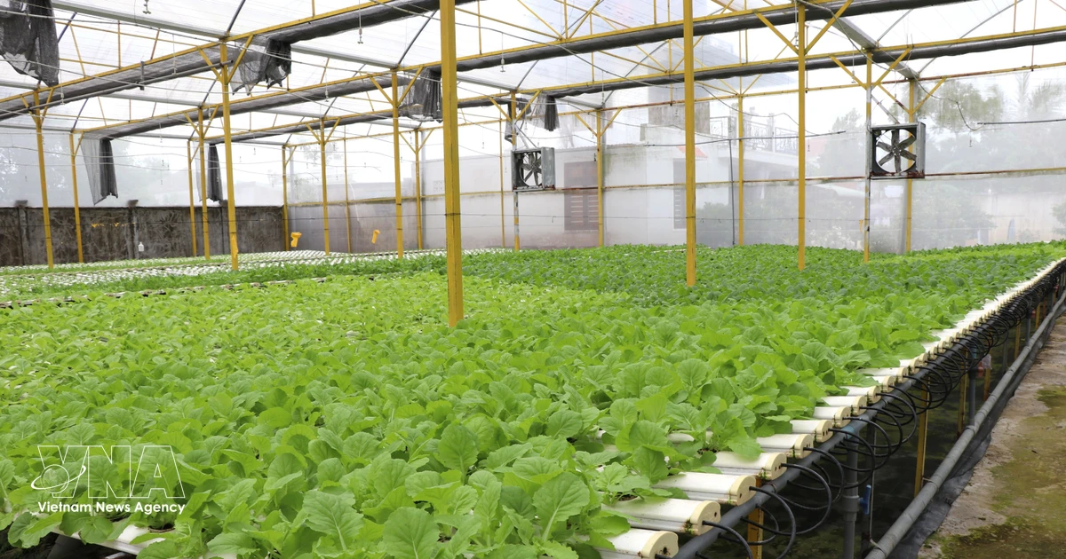 Vietnam Boosts High-Tech Agricultural Zones with Incentives