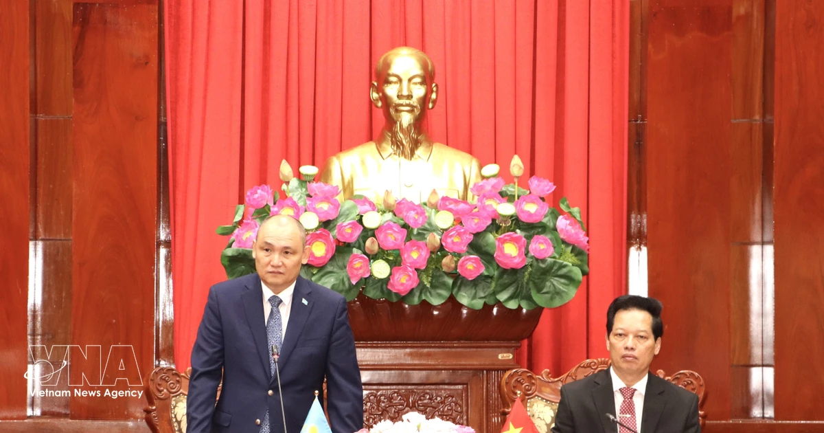 Kazakh Investor Proposes Rice Husk Processing Plant in Mekong Delta