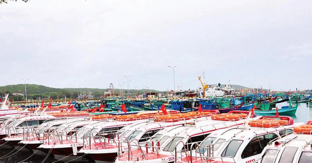 Phu Quoc Island Tragedy: Vietnam Tightens Safety Measures for Marine Tourism