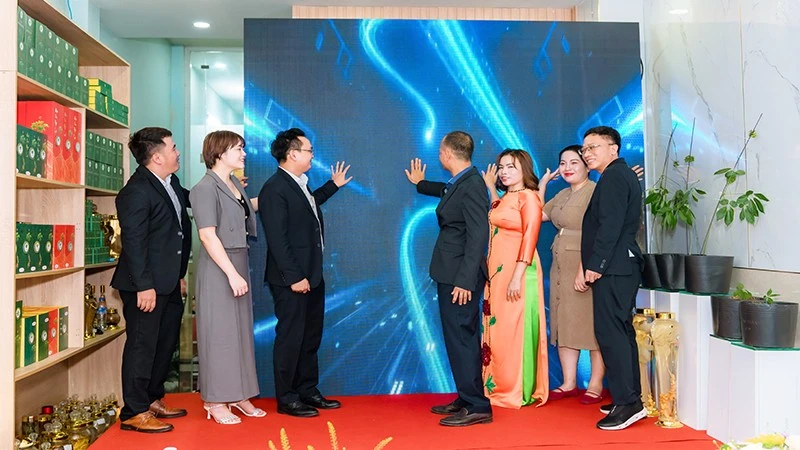 Vietnam Digitize Ngoc Linh Ginseng Management, Combating Counterfeits and Boosting Investment