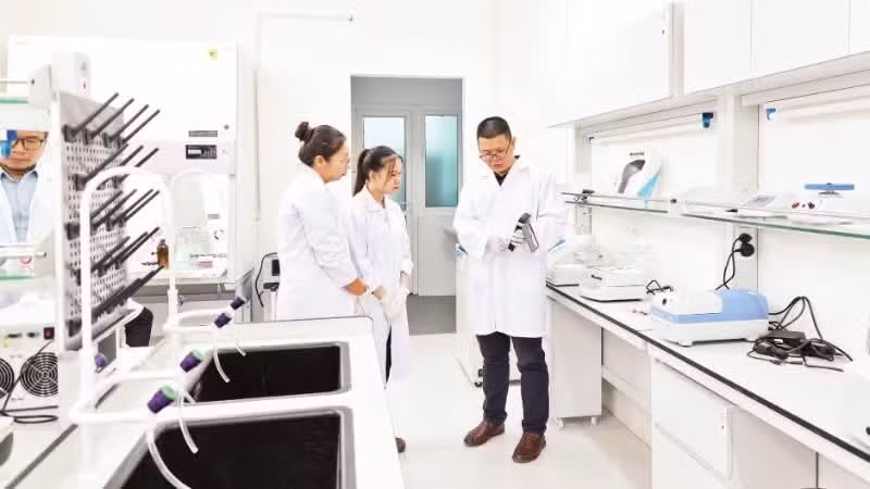 ベトナム、人材開発・活用政策を推進 経済社会発展へ