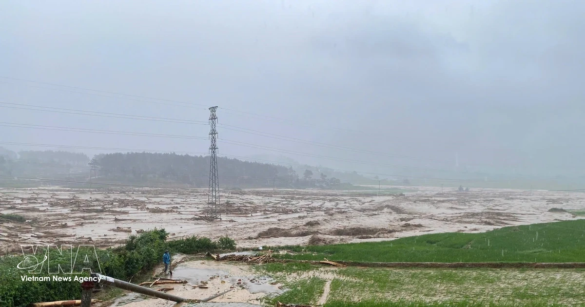 Flash Flood in Northern Vietnam Claims One Life, Four Missing