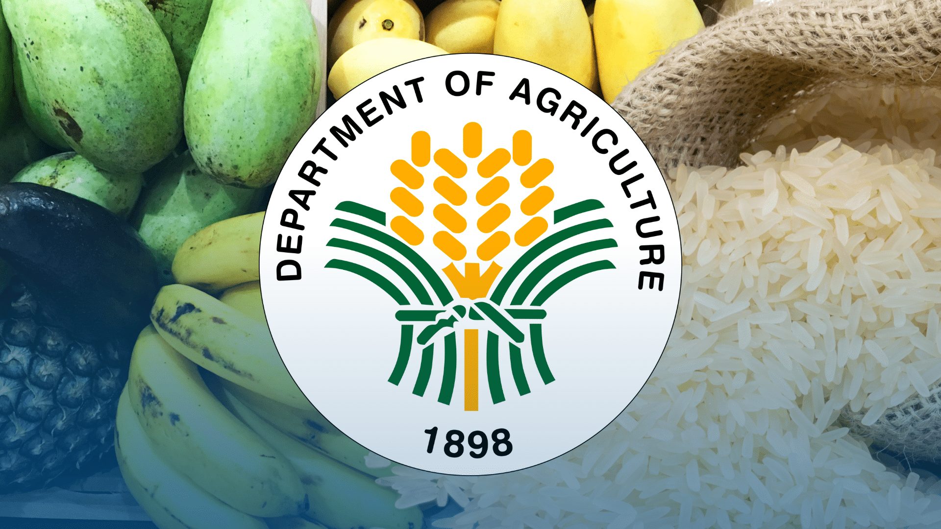 フィリピン農業省、2027年度予算1984億ペソを要求 - 食料安全保障へ注力