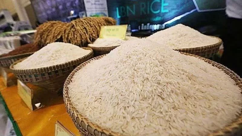 Cambodia Boosts Agricultural Finance, Implications for Vietnam?