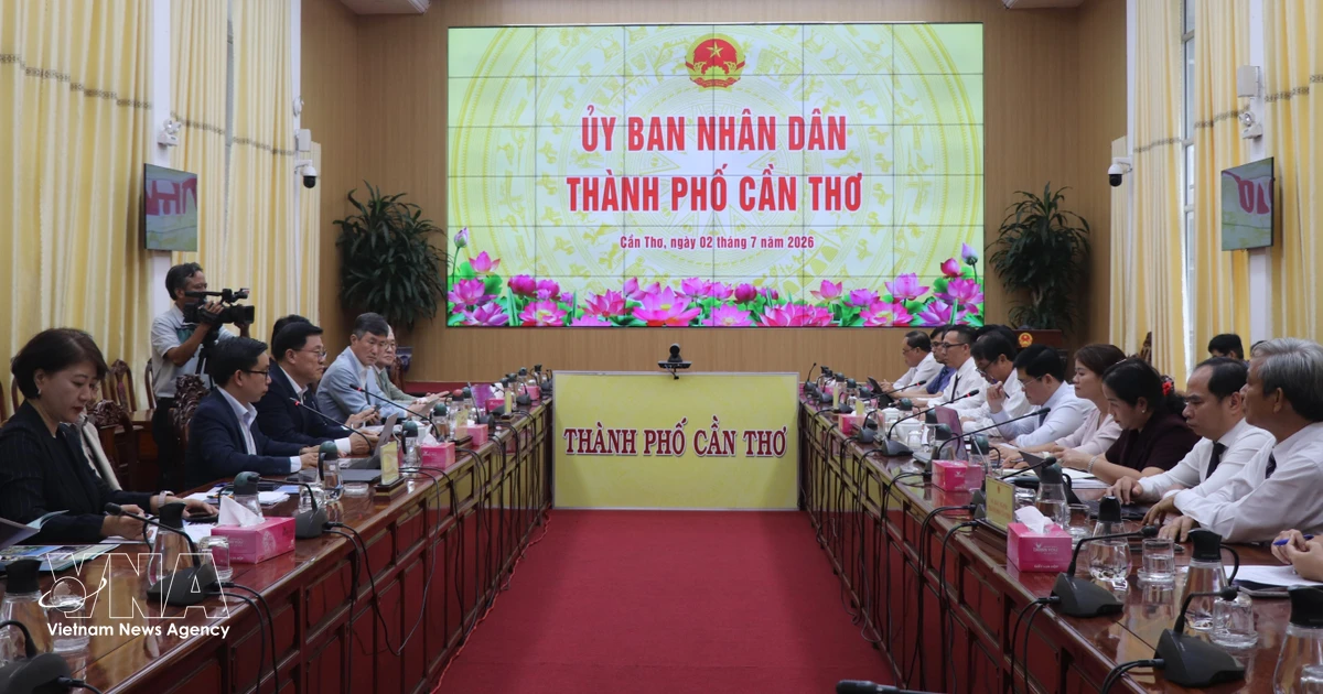 Can Tho, RoK Explore Cooperation in Smart Cities, AI, Green Industry
