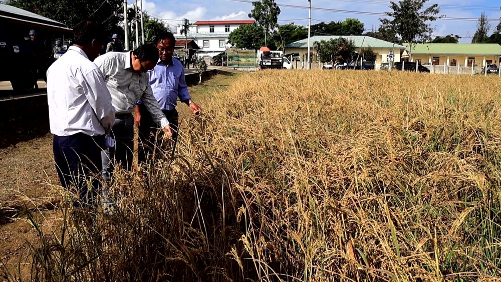 Kayah State Government steps up efforts for food sufficiency and regional development