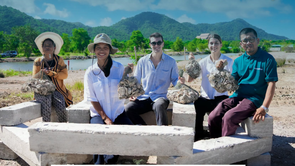 Cambodia Trials Oyster Restoration in Kep and Kampot Seas After Overfishing
