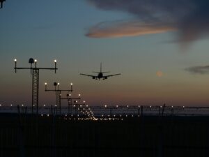 フィリピン、渡り鳥シーズン到来で空港の鳥害リスクに懸念高まる