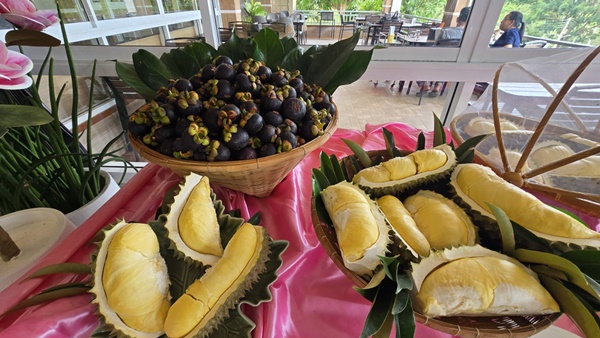 Prachuap Khiri Khan Durian Buffet Kicks Off to Packed Crowds, Homestays Fully Booked