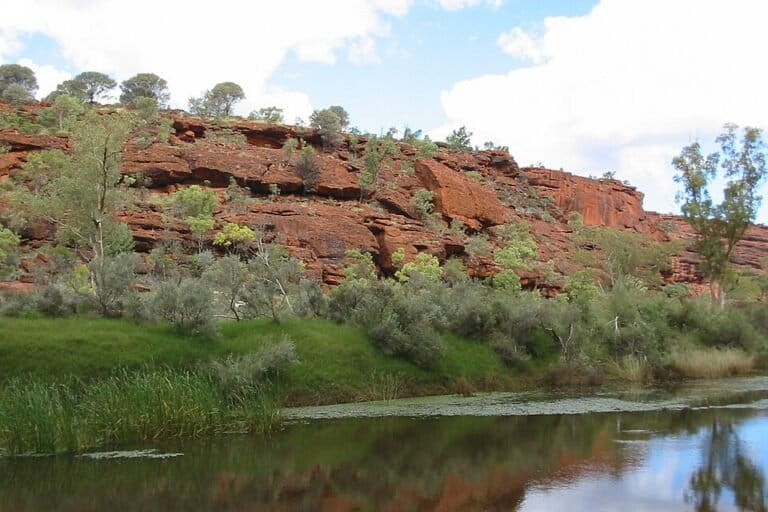 Finke River: Three Endemic Fish Species Thrive in World's Oldest River