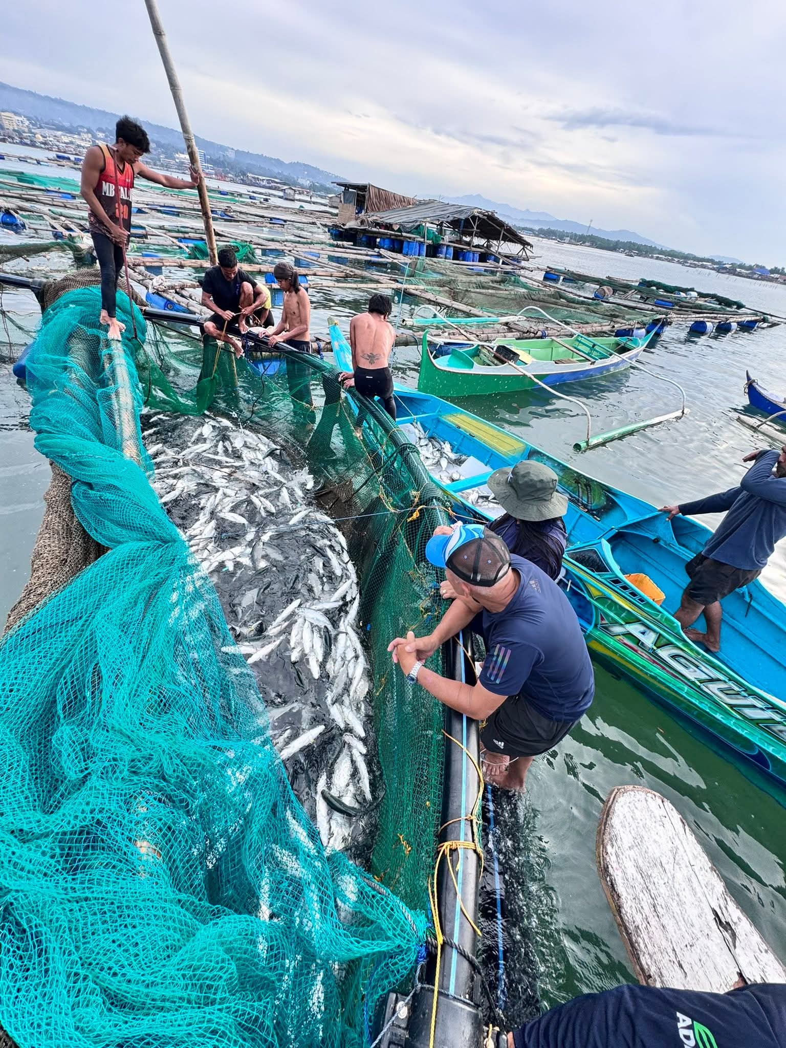 Zamboanga del Sur Firms Up Agriculture, Fisheries Roadmap