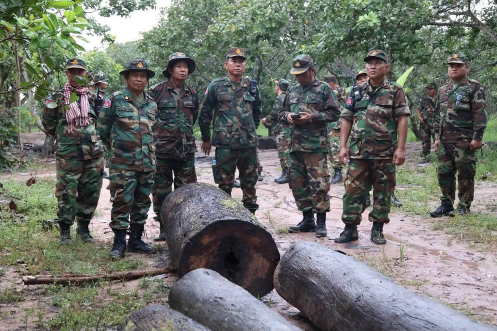 カンポット州で違法伐採された高級木材34本を発見、犯人は逃走