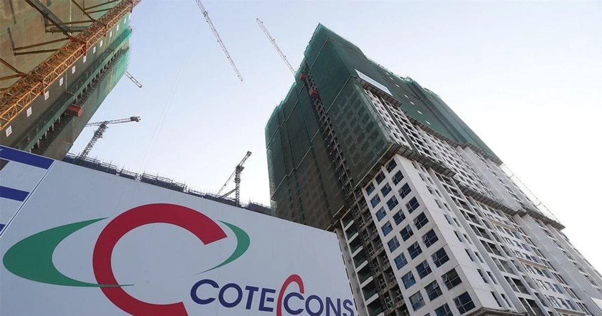 Coteccons Shares Plunge to Limit Down Despite Strong Earnings Report