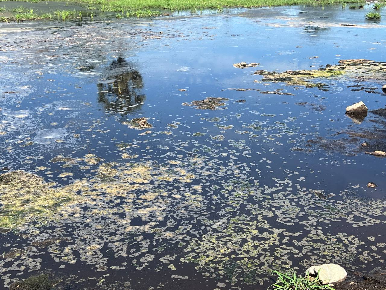 Cambodia: Confectionery Company Suspected of Environmental Law Violations for Dumping Waste on Farmland