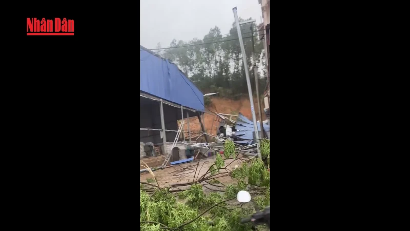 ベトナム北部で激しい突風と雹を伴う嵐が発生、5人が負傷し被害拡大