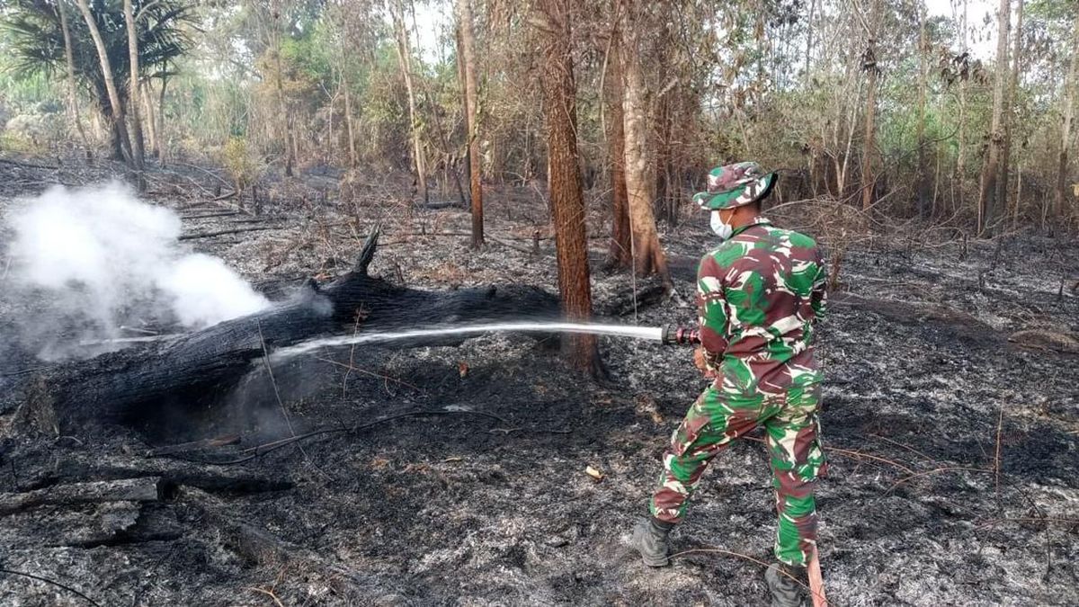 新首都ヌサンタラ周辺で森林火災、軍がヘリで消火活動