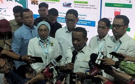 Papua Gold Findings: Minister Defers to President for Details