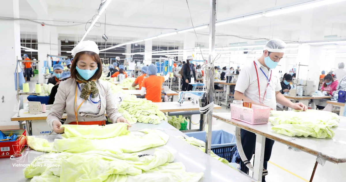 European Business Confidence in Vietnam Hits Near Seven-Year High