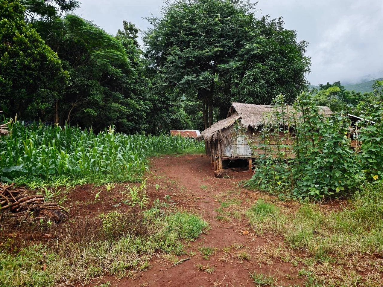 Some Mobye Residents Forced to Abandon Farms and Flee Amid Fighting