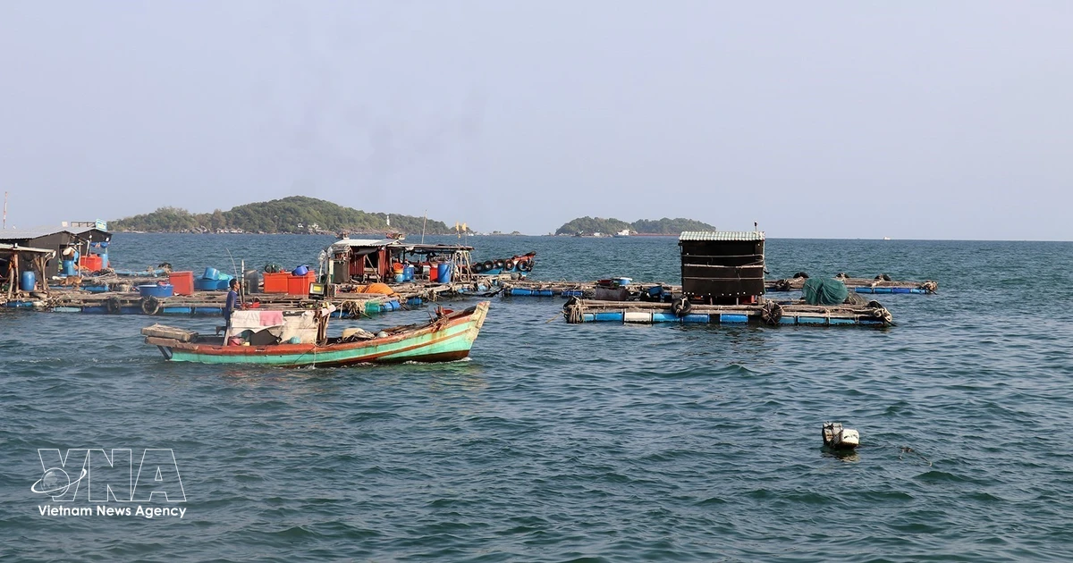An Giang Steps Up IUU Fishing Crackdown to Lift EU Yellow Card