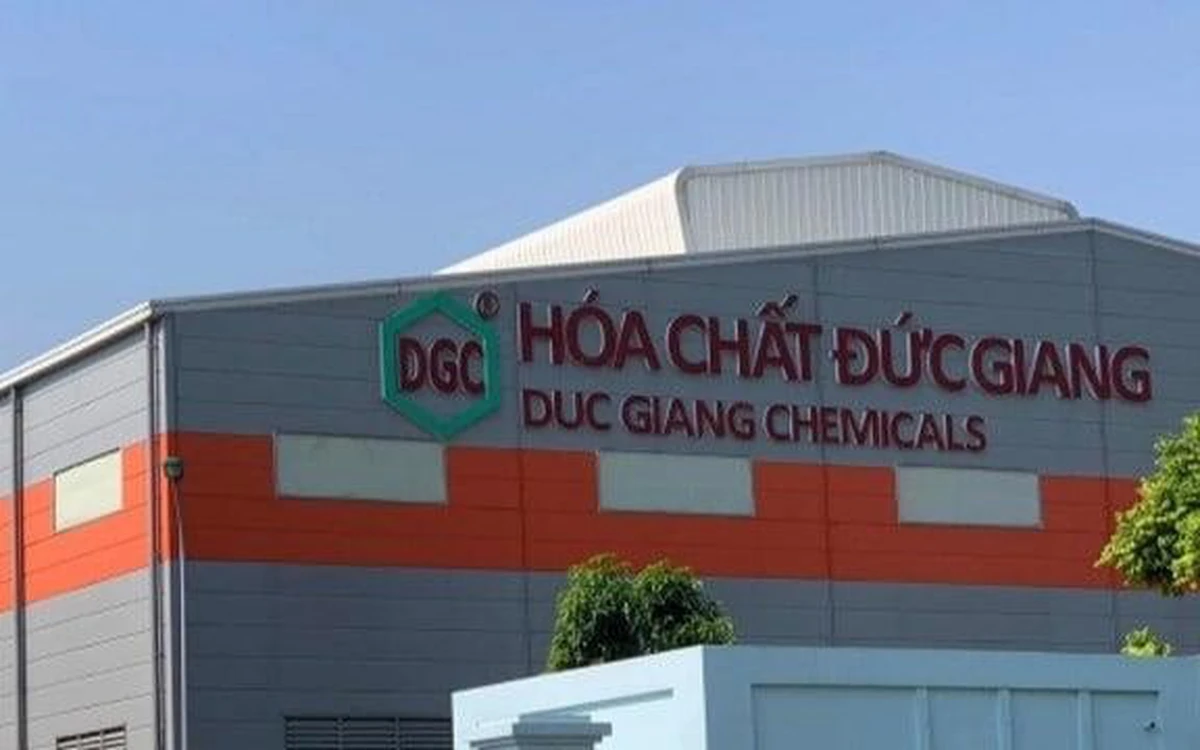 HoSE Amends Ruling: Duc Giang Chemicals (DGC) Shares Allowed Full-Day Trading Under Restrictions