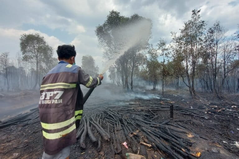 Kalimantan Forest and Land Fires Rage, Over 70% of Hotspots in Corporate Concessions