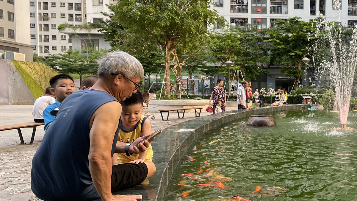 Vietnam's Aging Society: Middle-Aged Vietnamese Crafting 'Retirement Blueprints'