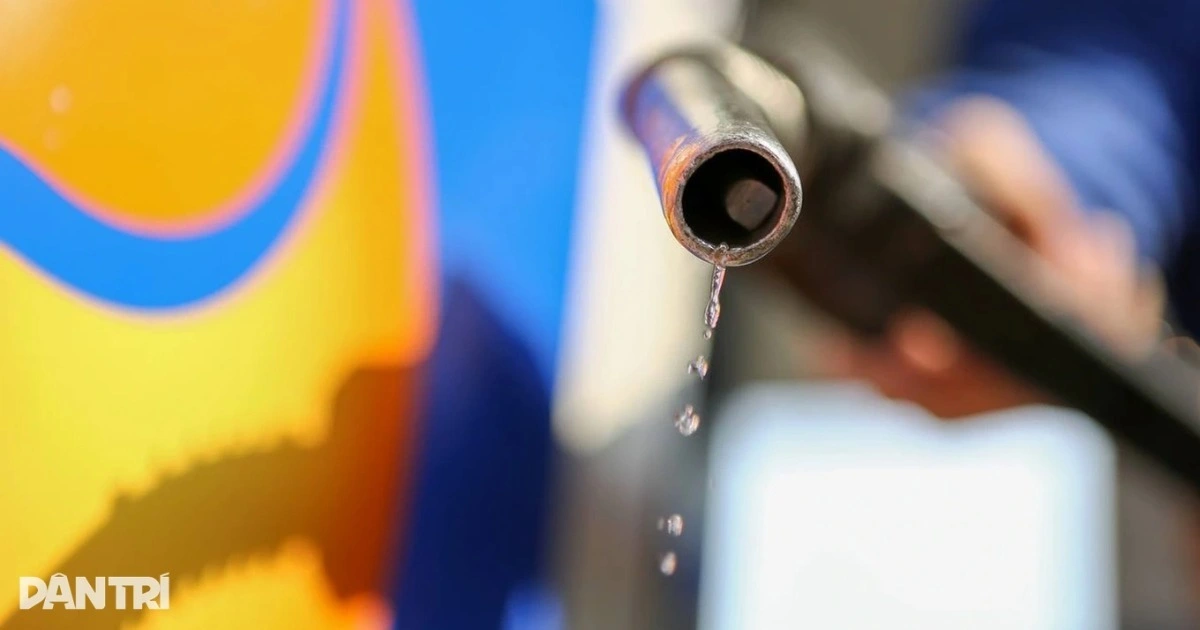 ベトナム、6月1日からバイオガソリンE10へ完全移行:ドライバーの注意点
