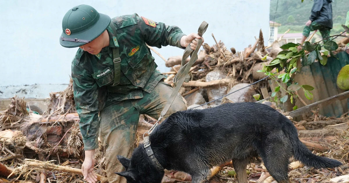 Lai Chau Flash Flood Claims One Life, Four Missing; Rescue Efforts Underway