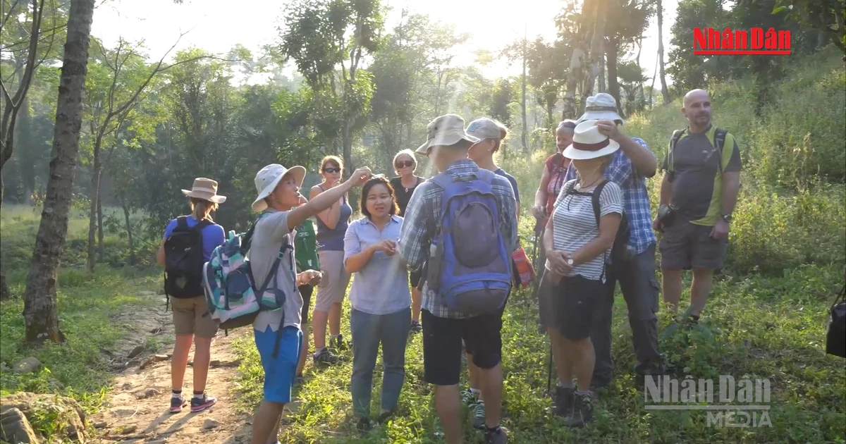 Vietnam Tourism Surges: Over 16 Million International Visitors in 8 Months, Asian Markets Lead, European and American Markets See Strong Growth