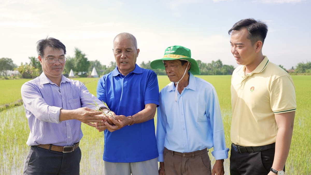 Ca Mau Fertilizer Launches 'Golden Secret 2026' to Empower Farmers with Cultivation Knowledge