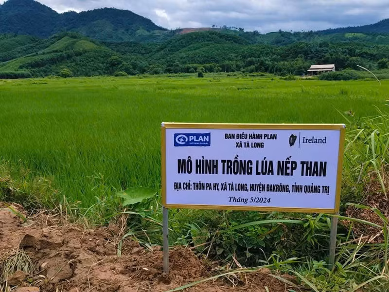 Vietnamese Ethnic Minority Women Achieve Economic Independence and Cultural Promotion